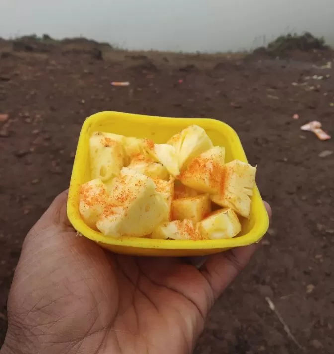 Photo of Z Point Trekking Peak, Chikmagalur, Karnataka, India by Ranjit Periyasami