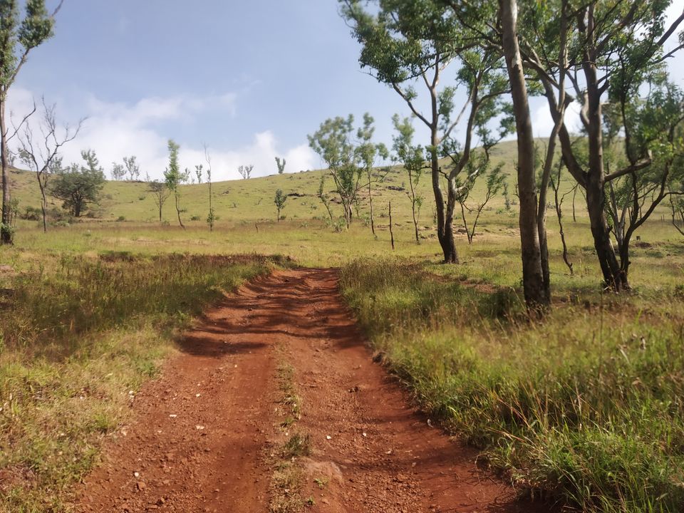 Photo of Chikmagalur & Kemmangundi : Journey Into the blessed Hill stations of South India by Ranjit Periyasami