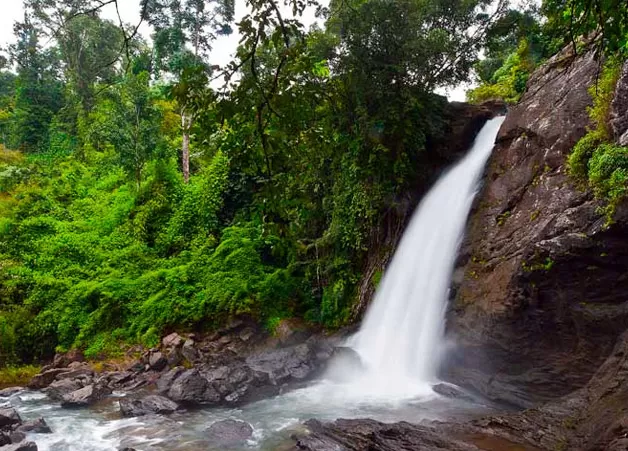 Photo of Soochipara Waterfalls, Wayanad, Kerala, India by Ranjit Periyasami