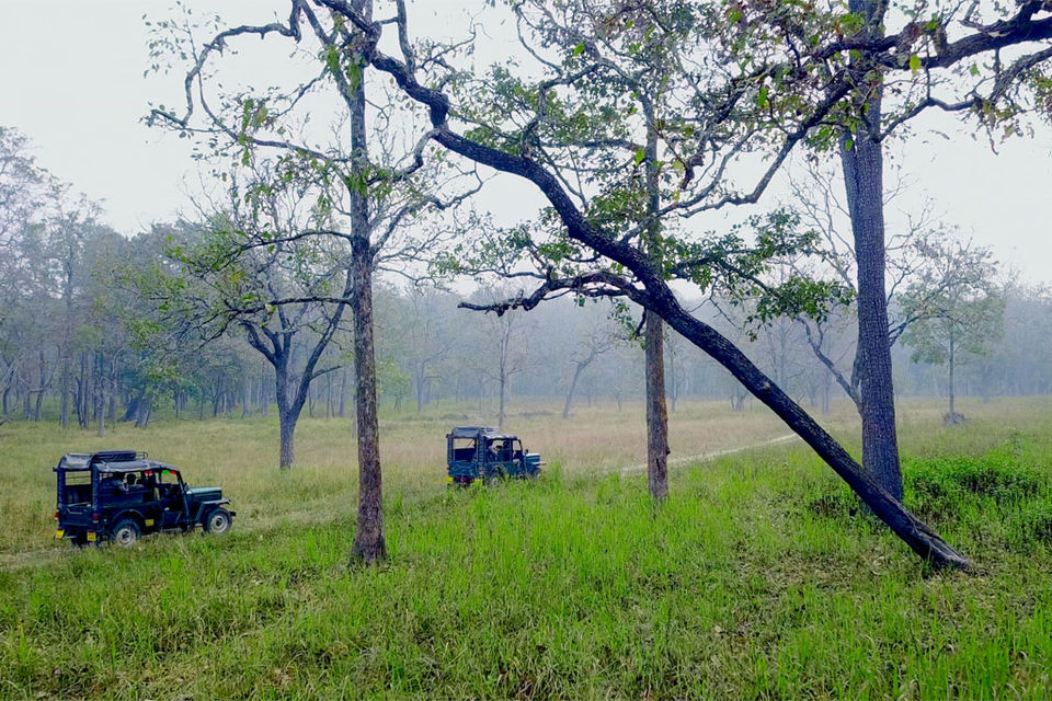 Photo of Wayanad Wildlife Sanctuary, Sultan Bathery, Kerala, India by Ranjit Periyasami