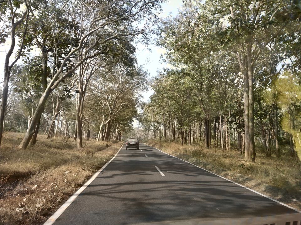 Photo of Wayanad : A Complete Vacation Trip 3/4 by Ranjit Periyasami