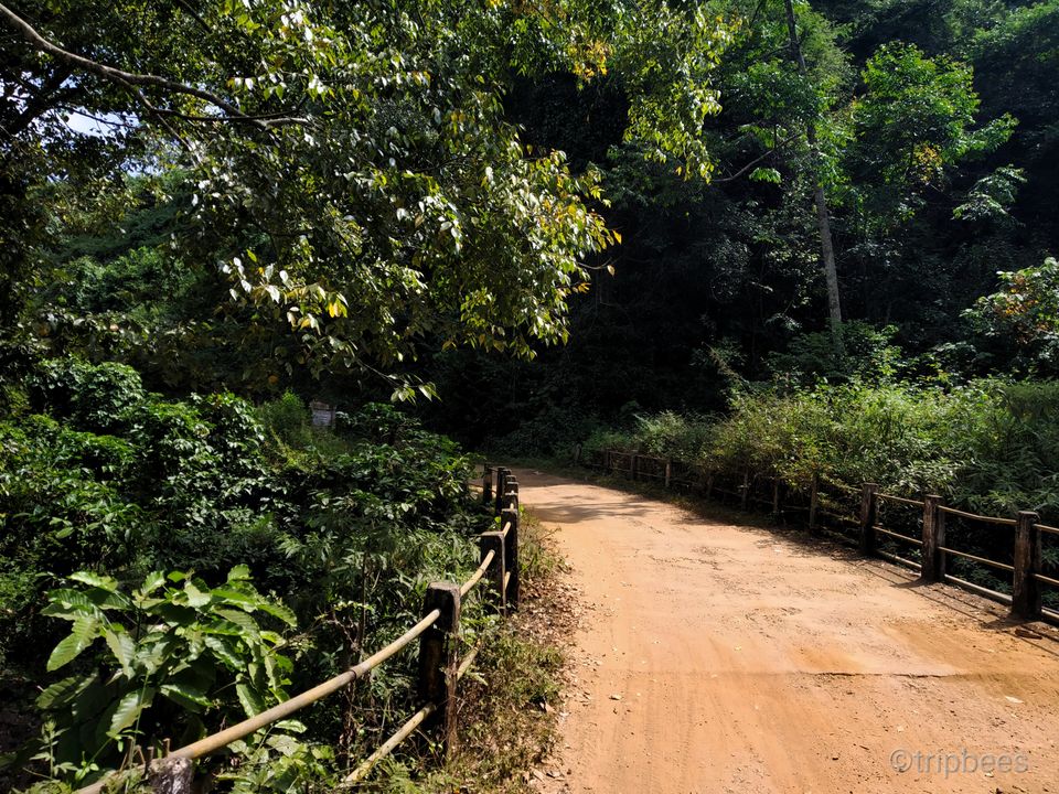 Photo of Wayanad : A Complete Vacation Trip by Ranjit Periyasami