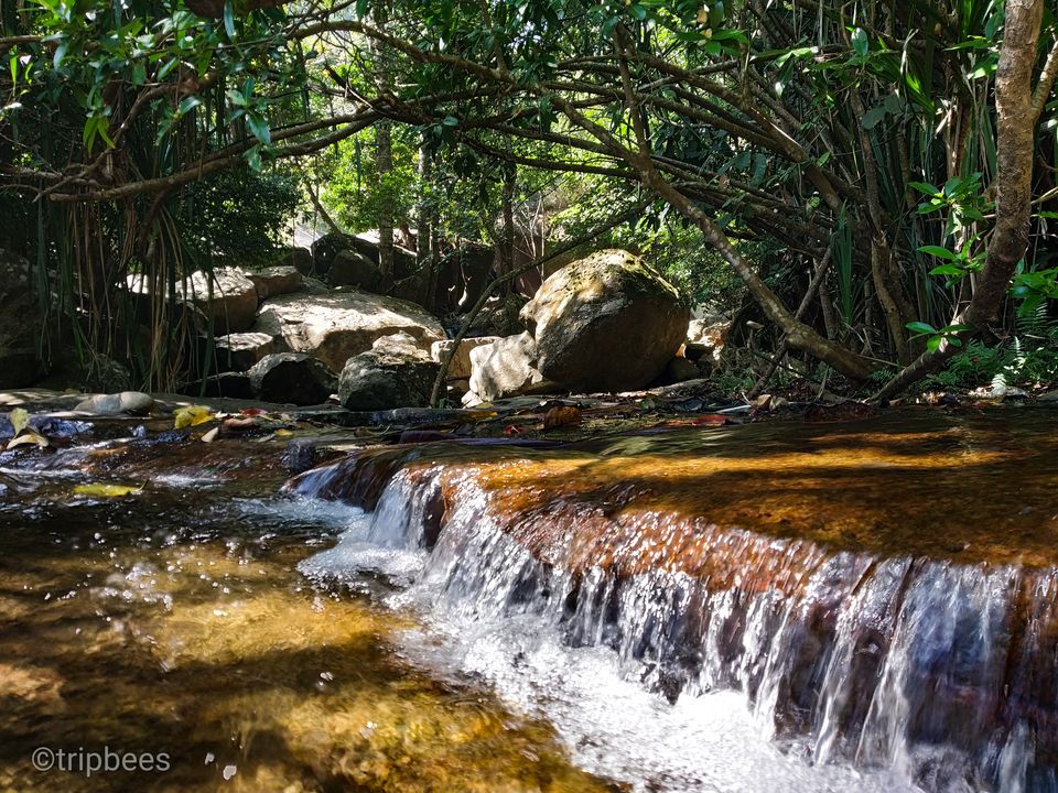 Photo of Meenmutty Waterfalls, Kallar Meenmutty Falls Road, Kallar, Kerala, India by Ranjit Periyasami