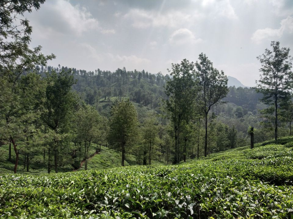 Photo of Wayanad : A Complete Vacation Trip by Ranjit Periyasami