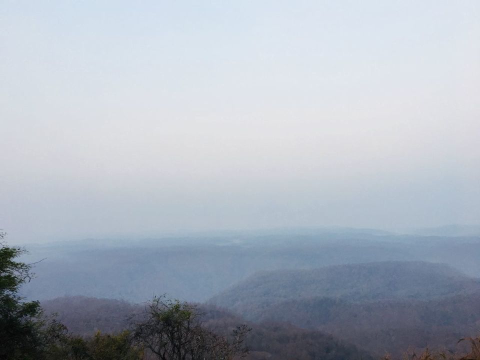 Photo of Dandeli-Nature and Rafting 5/5 by Swetha Sharma