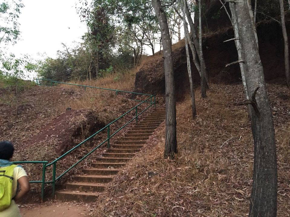 Photo of Dandeli-Nature and Rafting 4/5 by Swetha Sharma