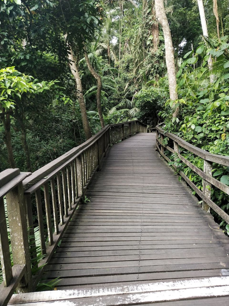 Photo of The Tropical Island BALI- A trip to remember by Swetha Sharma