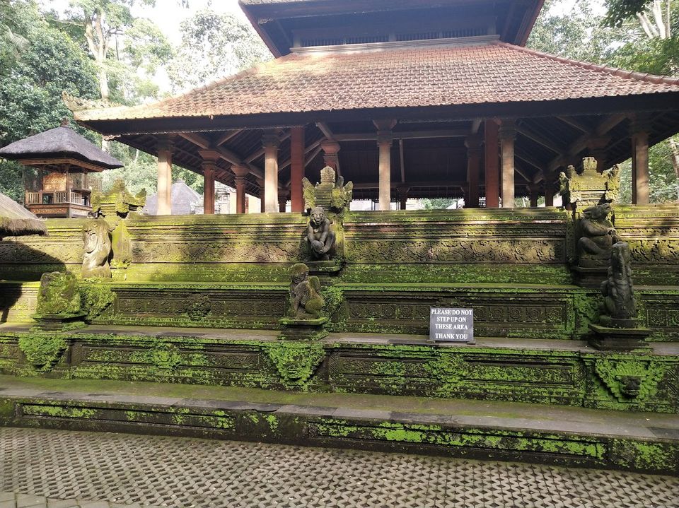 Photo of The Tropical Island BALI- A trip to remember by Swetha Sharma