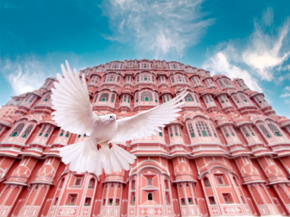 Photo of 10 Best Indian Destinations to Explore in February 2023 by Khyati Maloo
