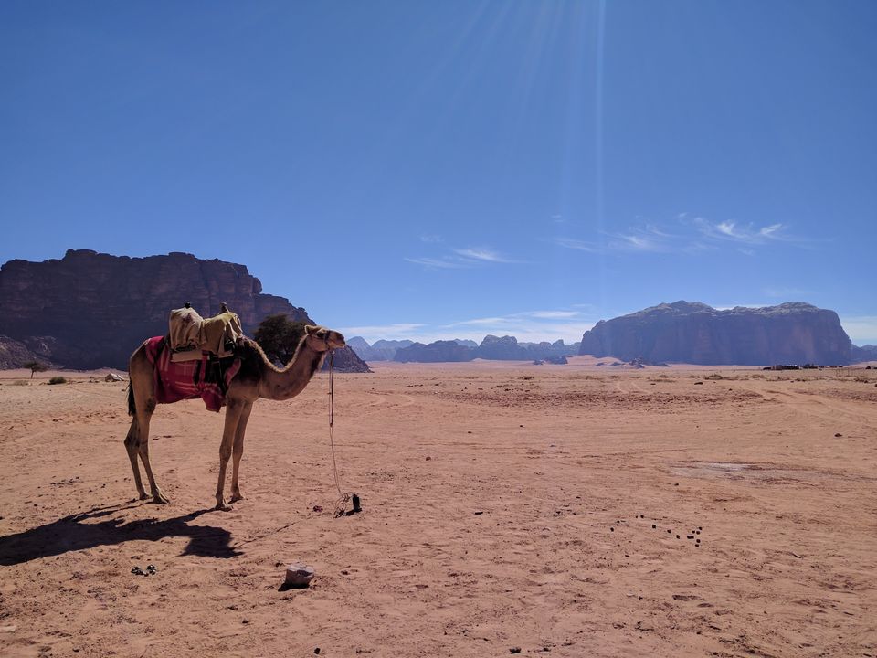 Photo of Jordan - The land of Hospitality 4/4 by Khyati Maloo