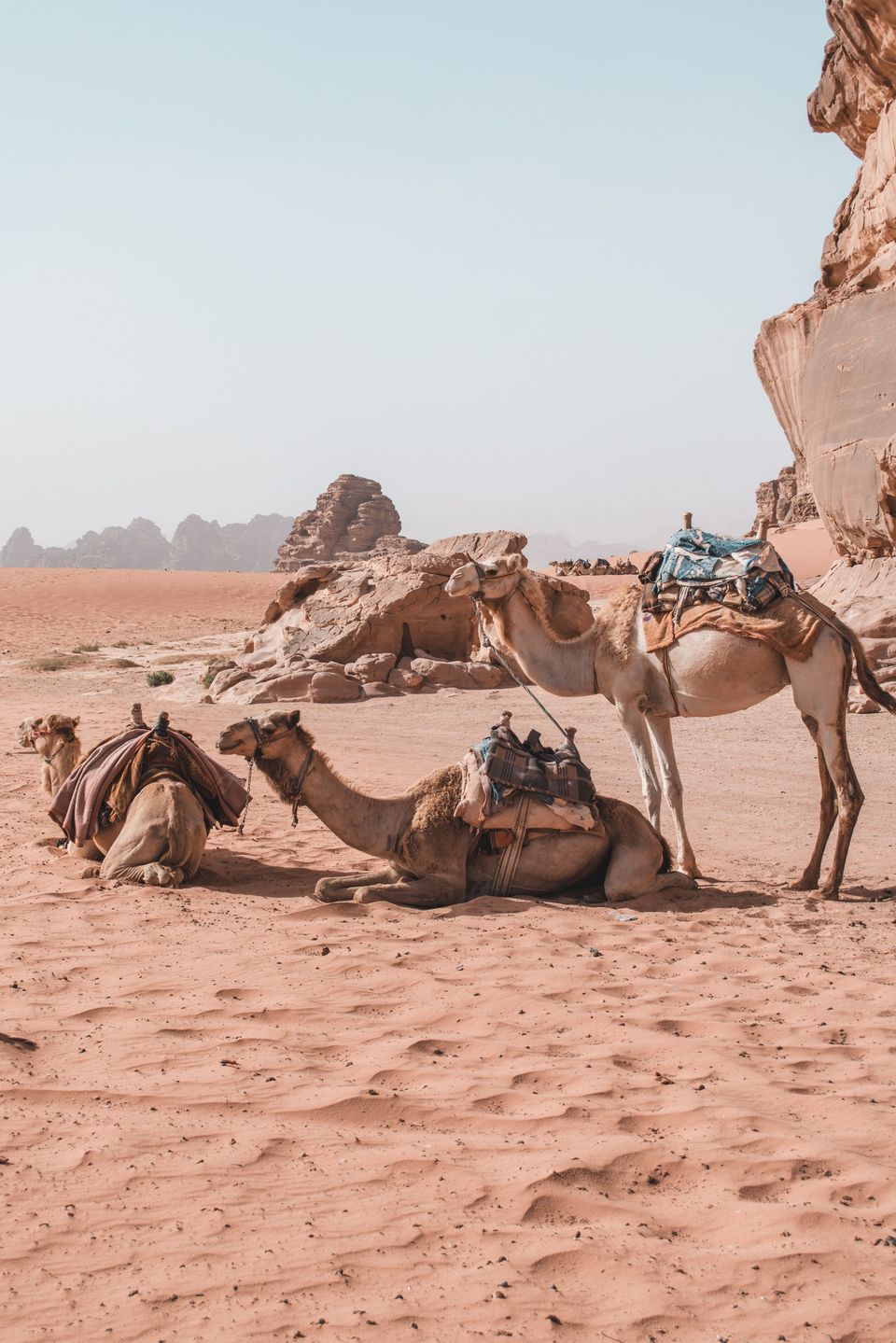 Photo of The Ultimate Guide to Jordan | Of Miles & Musings by Khyati Maloo
