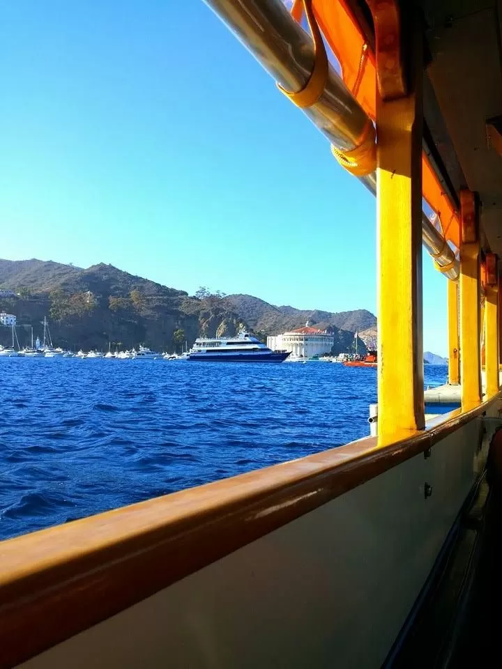 Photo of Catalina Glassbottom Boat Inc, Cabrillo Drive, Avalon, CA, United States by Tiana Harris