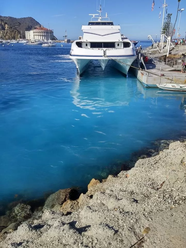 Photo of Catalina Express, Golden Shore, Long Beach, CA, United States by Tiana Harris