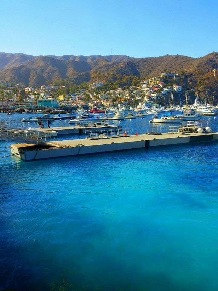 Photo of Tiana's Perfect Day on Catalina Island 3/7 by Tiana Harris