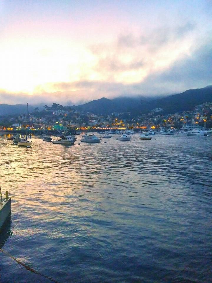 Photo of Tiana's Perfect Day on Catalina Island 1/7 by Tiana Harris