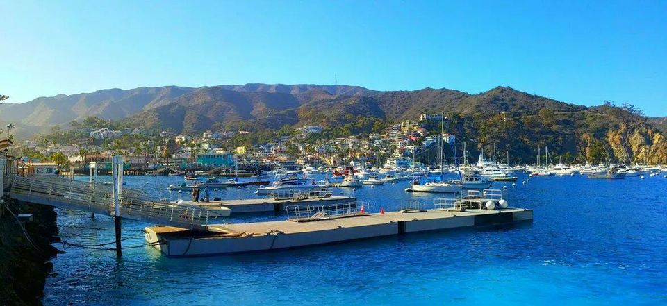 Photo of Tiana's Perfect Day on Catalina Island 4/7 by Tiana Harris