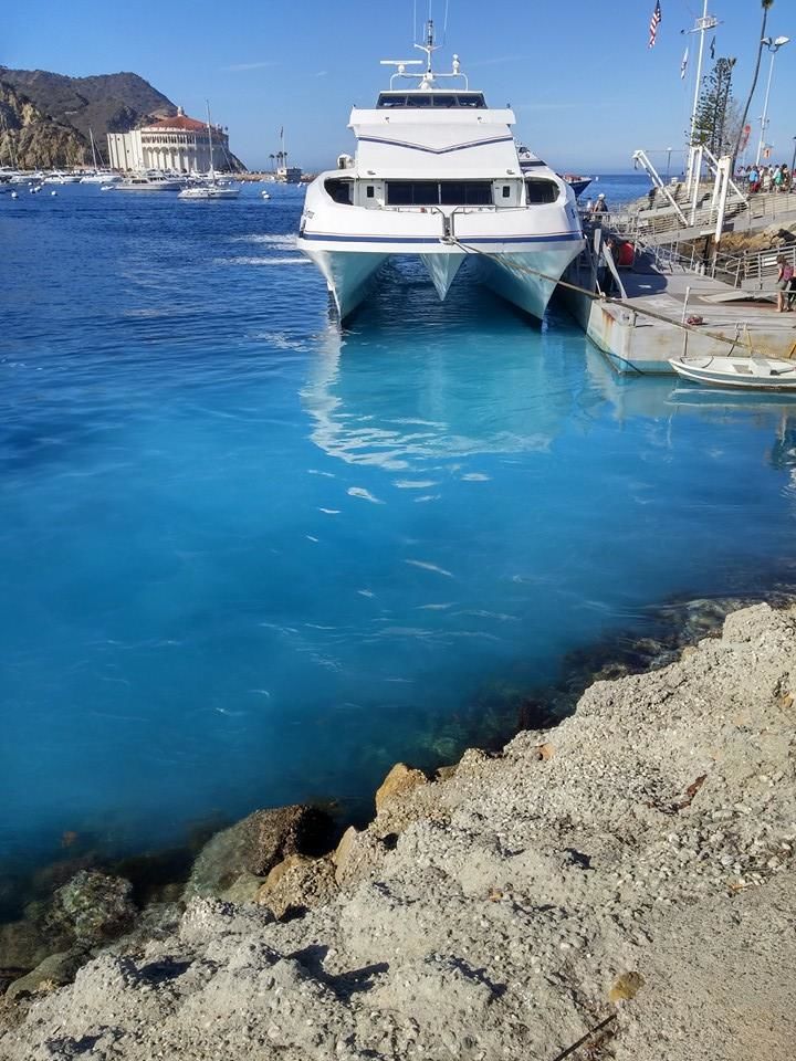 Photo of Tiana's Perfect Day on Catalina Island 5/7 by Tiana Harris