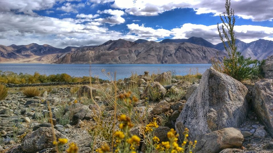 Photo of Leh 194101 by Swati Nanda