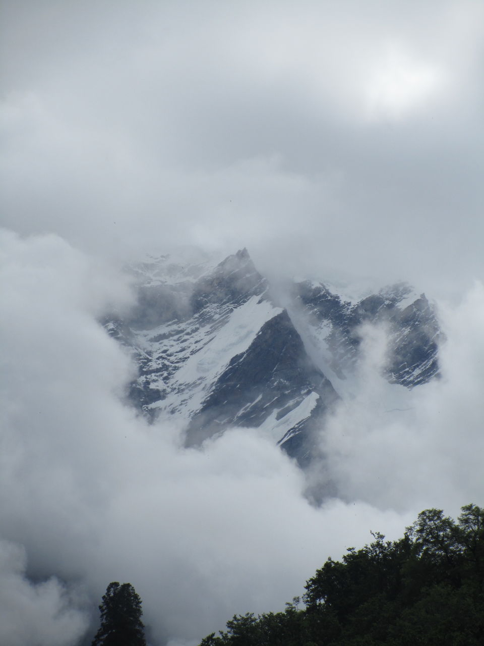 Photo of Witness Heaven in Nature’s Own Valley: The Valley of Flowers Trek, Uttarakhand 20/32 by Tushar Chatterji