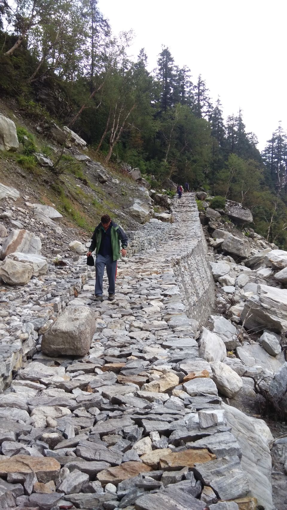 Photo of Witness Heaven in Nature’s Own Valley: The Valley of Flowers Trek, Uttarakhand 22/32 by Tushar Chatterji