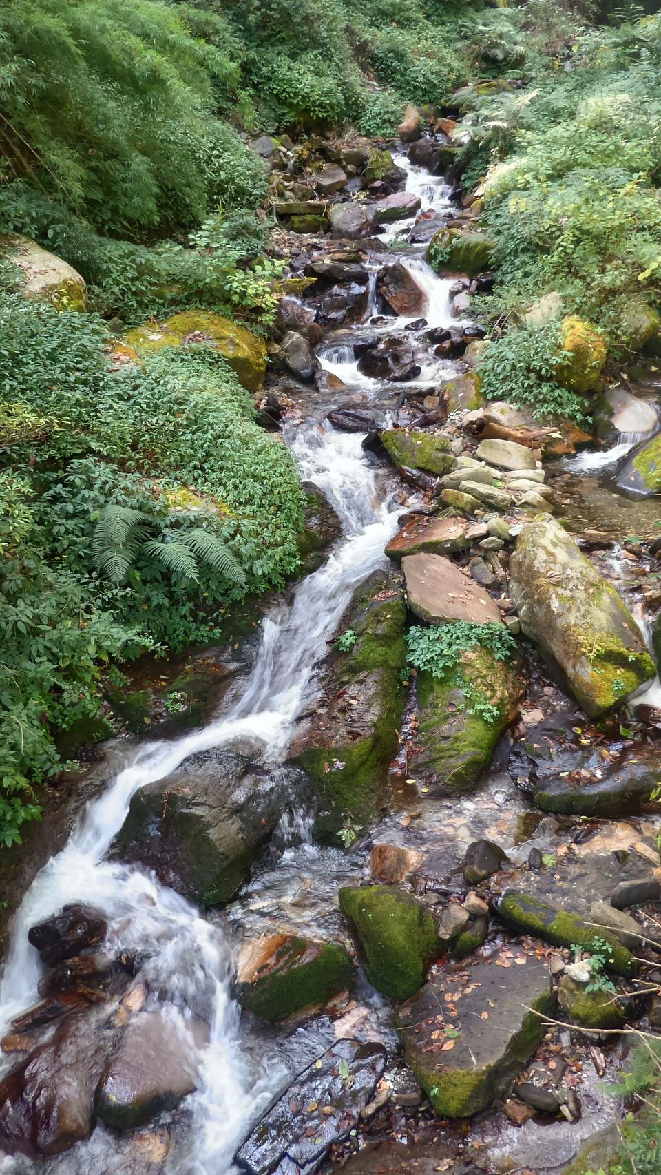 Photo of Roopkund - An Enthralling Experience! 3/17 by Tushar Chatterji