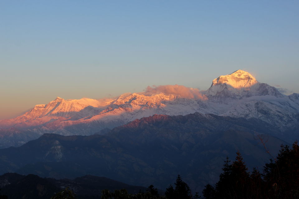 Photo of Of Mountains, Stupas, Culture, and Wildlife - Namaste Nepal 2/38 by Tushar Chatterji
