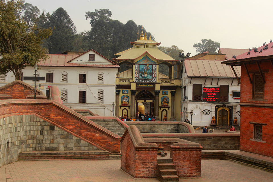 Photo of Of Mountains, Stupas, Culture, and Wildlife - Namaste Nepal 7/38 by Tushar Chatterji
