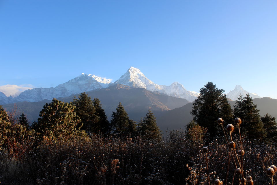 Photo of Of Mountains, Stupas, Culture, and Wildlife - Namaste Nepal 10/38 by Tushar Chatterji