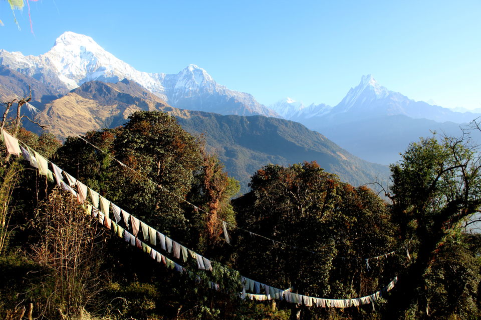 Photo of Of Mountains, Stupas, Culture, and Wildlife - Namaste Nepal 15/38 by Tushar Chatterji