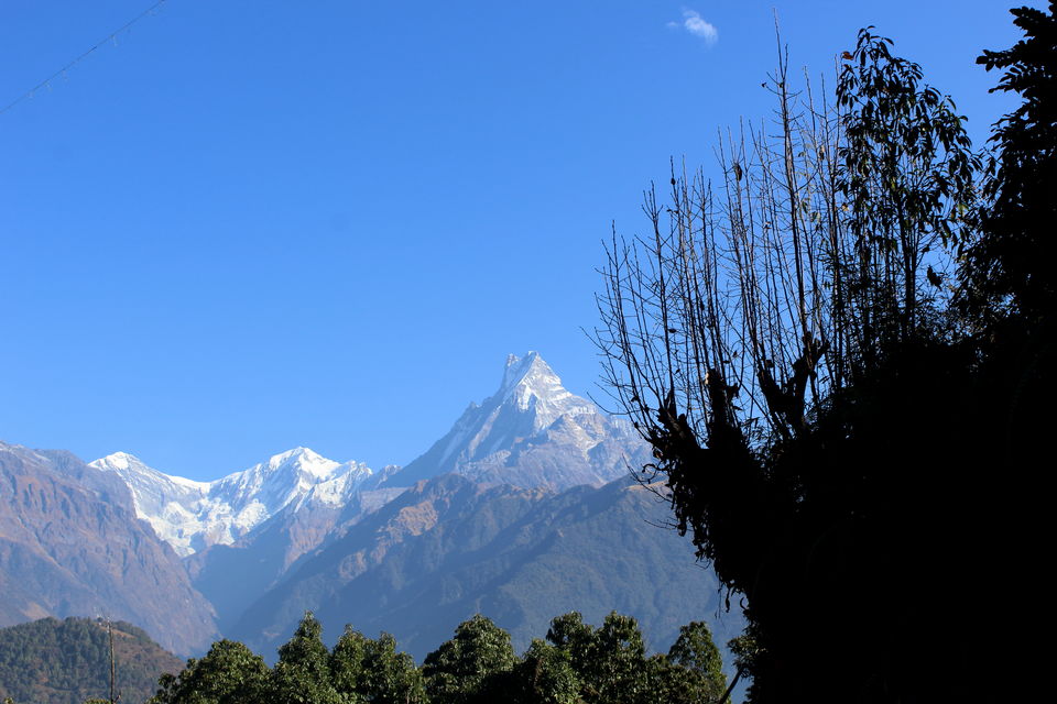 Photo of Of Mountains, Stupas, Culture, and Wildlife - Namaste Nepal 17/38 by Tushar Chatterji