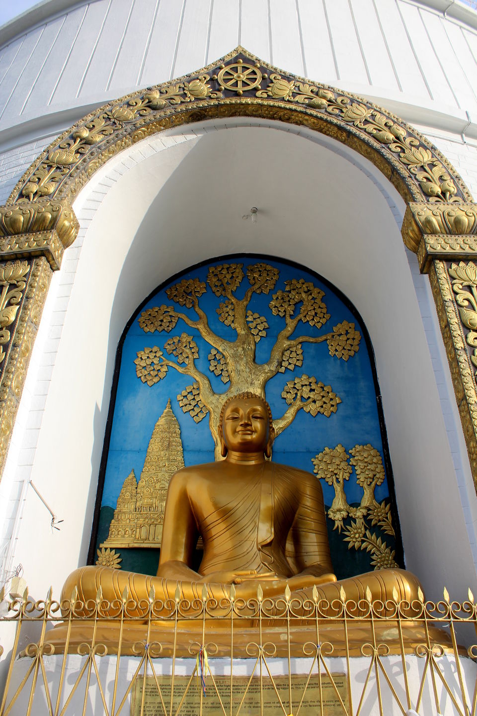 Photo of Of Mountains, Stupas, Culture, and Wildlife - Namaste Nepal 21/38 by Tushar Chatterji