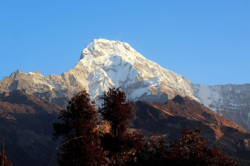 Photo of Of Mountains, Stupas, Culture, and Wildlife - Namaste Nepal 38/38 by Tushar Chatterji