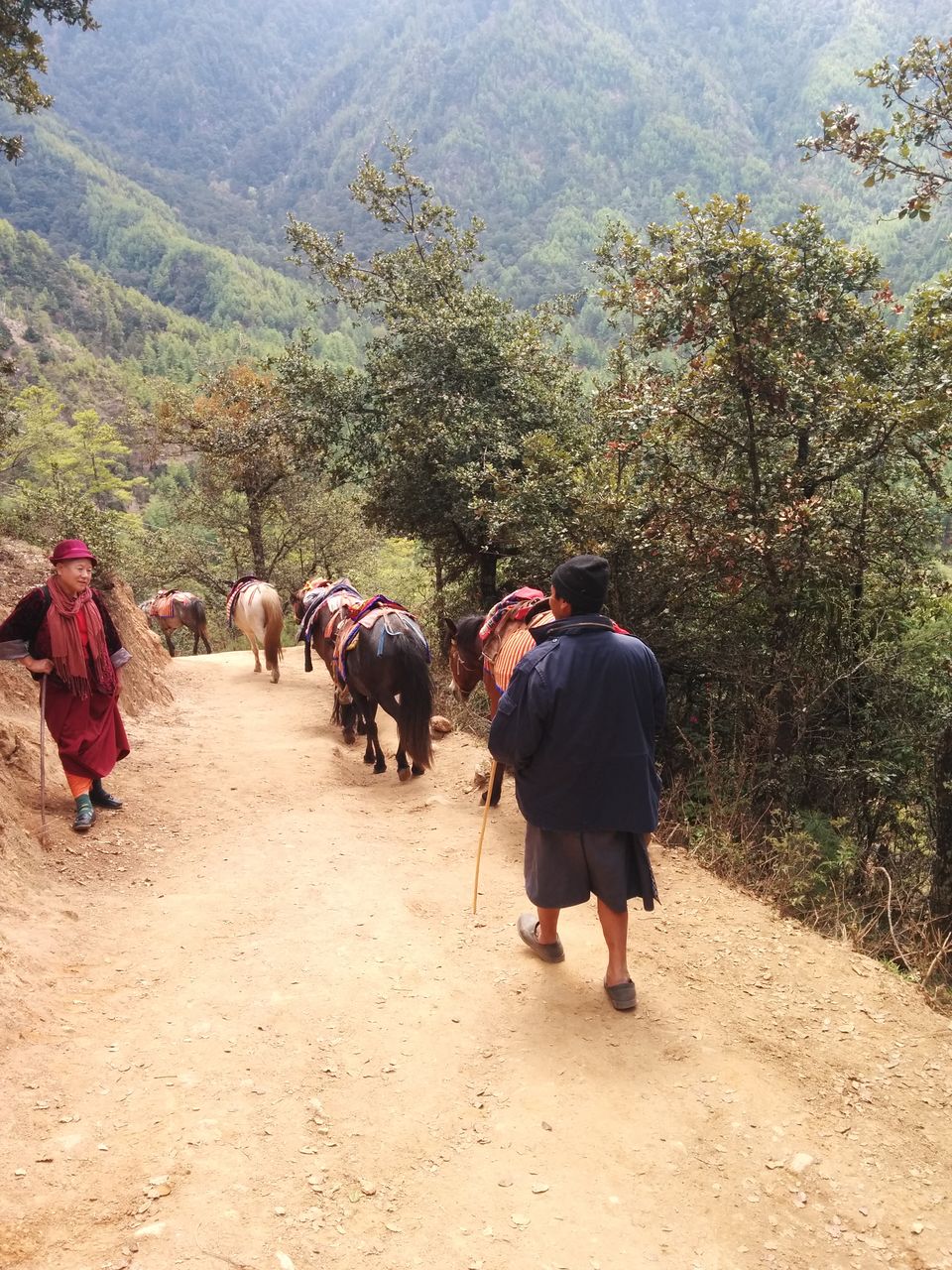 Photo of Bhutan - The Land of Thunder Dragon 8/20 by Karan Raj