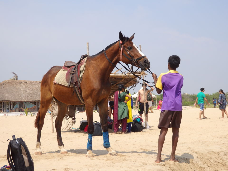 Photo of Le Pondy - A weekend in Pondicherry by Karan Raj