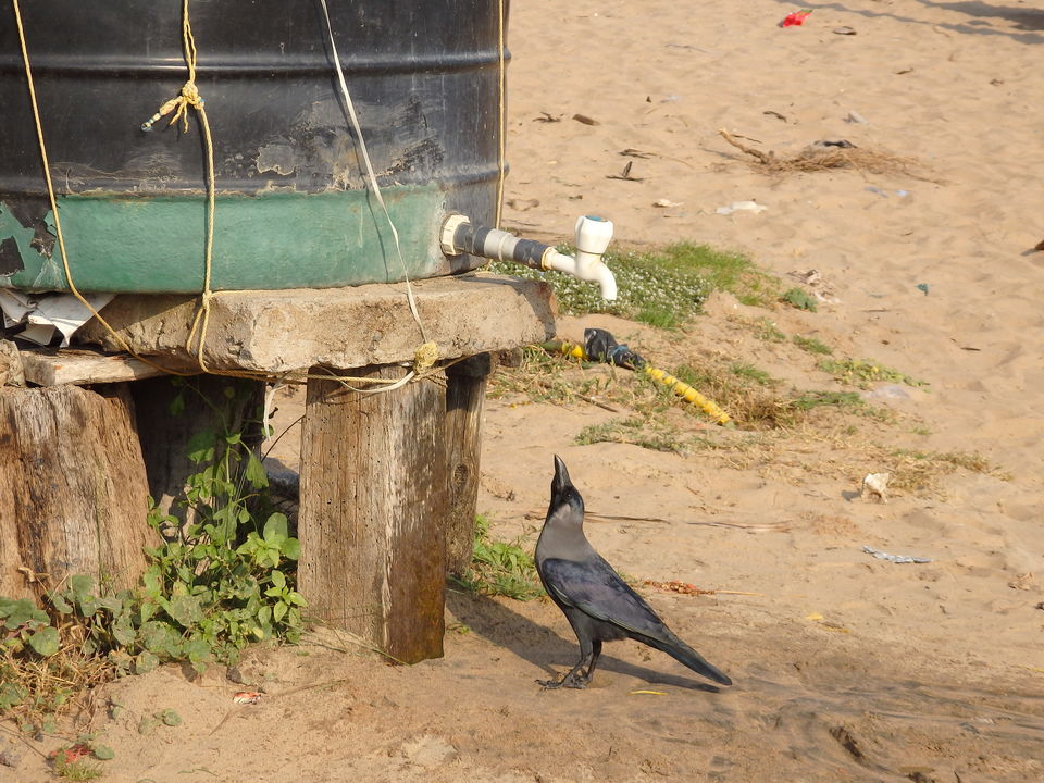 Photo of Le Pondy - A weekend in Pondicherry by Karan Raj