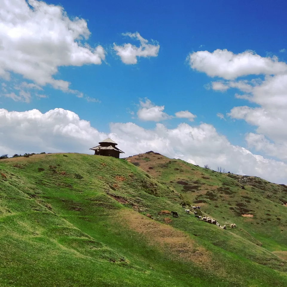 Photo of Budher Forest Rest House, Undawa, Uttarakhand, India by Prashanth Ramanathan
