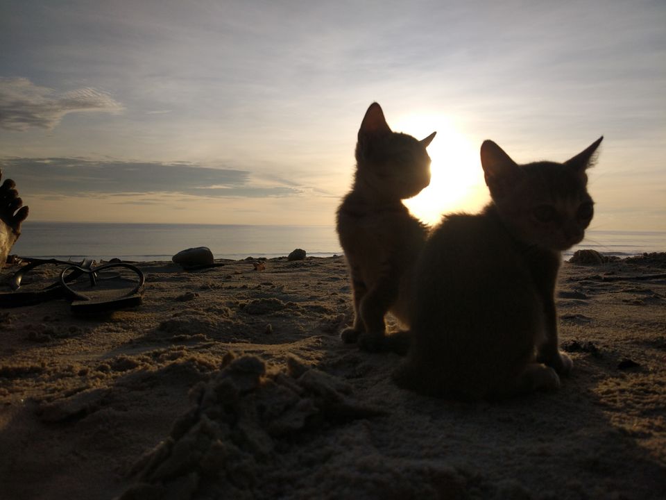 Photo of Andaman Diaries 17/24 by Prashanth Ramanathan