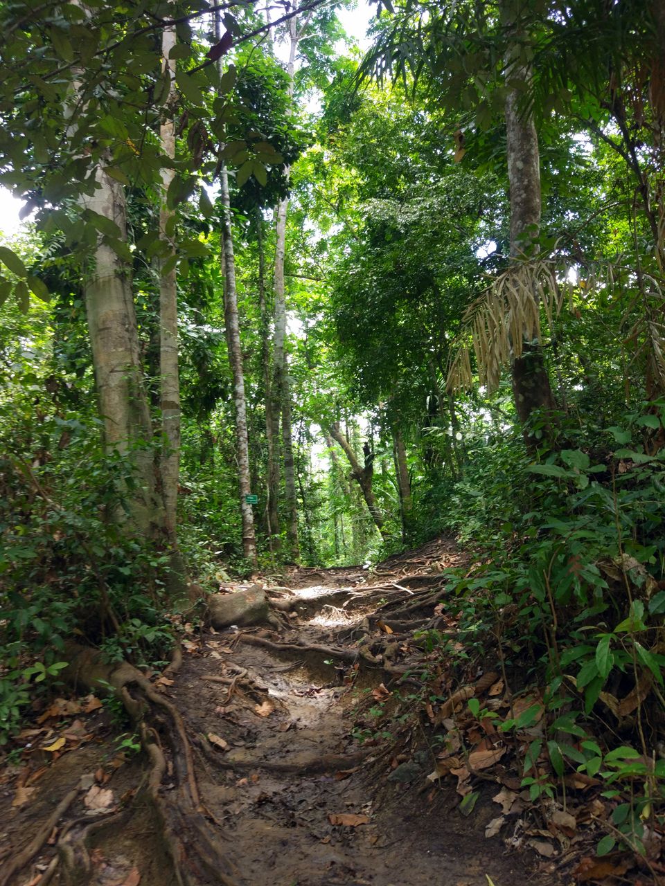 Photo of Andaman Diaries 18/24 by Prashanth Ramanathan