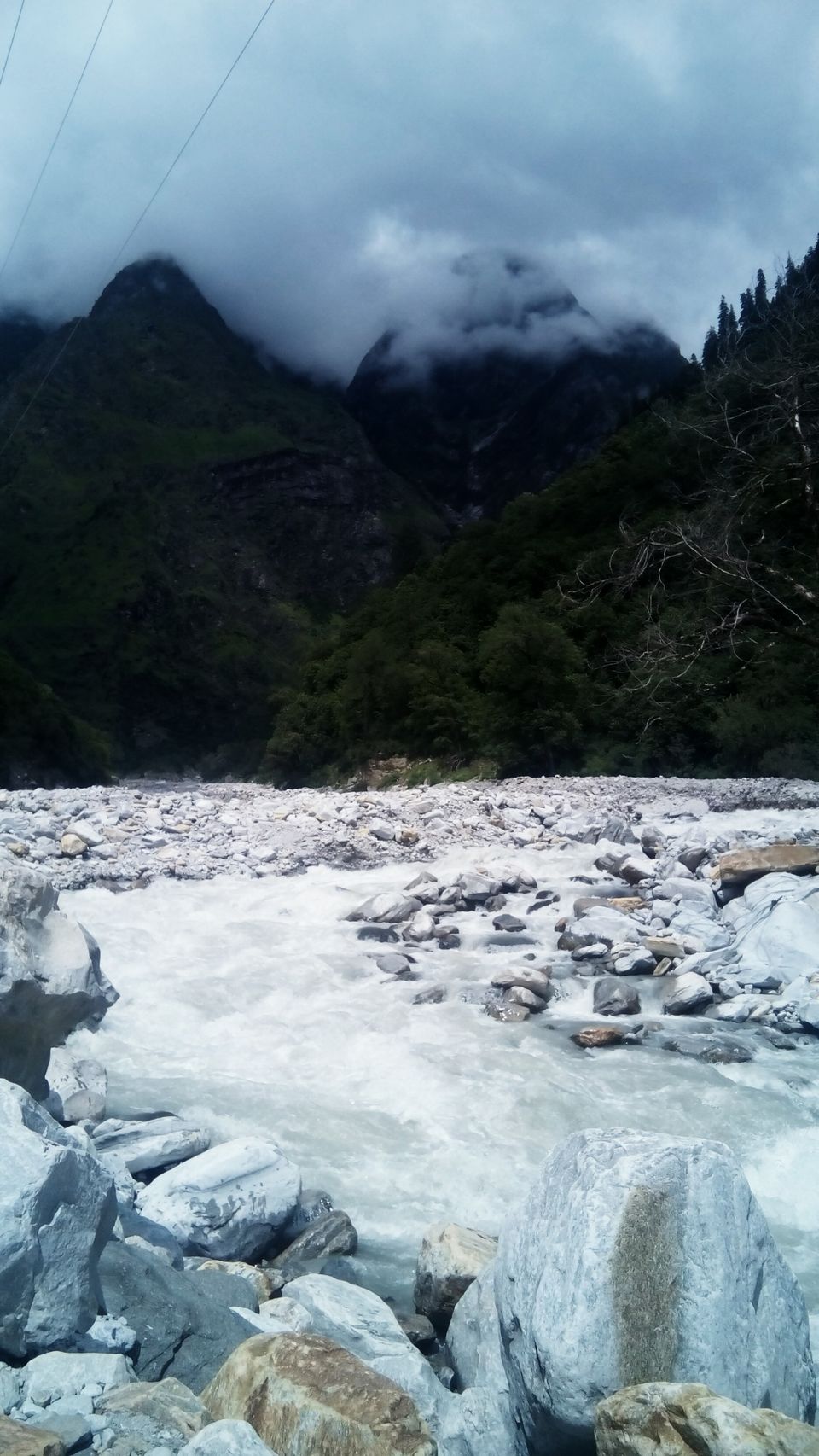 Photo of Trek to the Valley of Flowers, Uttarakhand 8/10 by Shazia Khanam