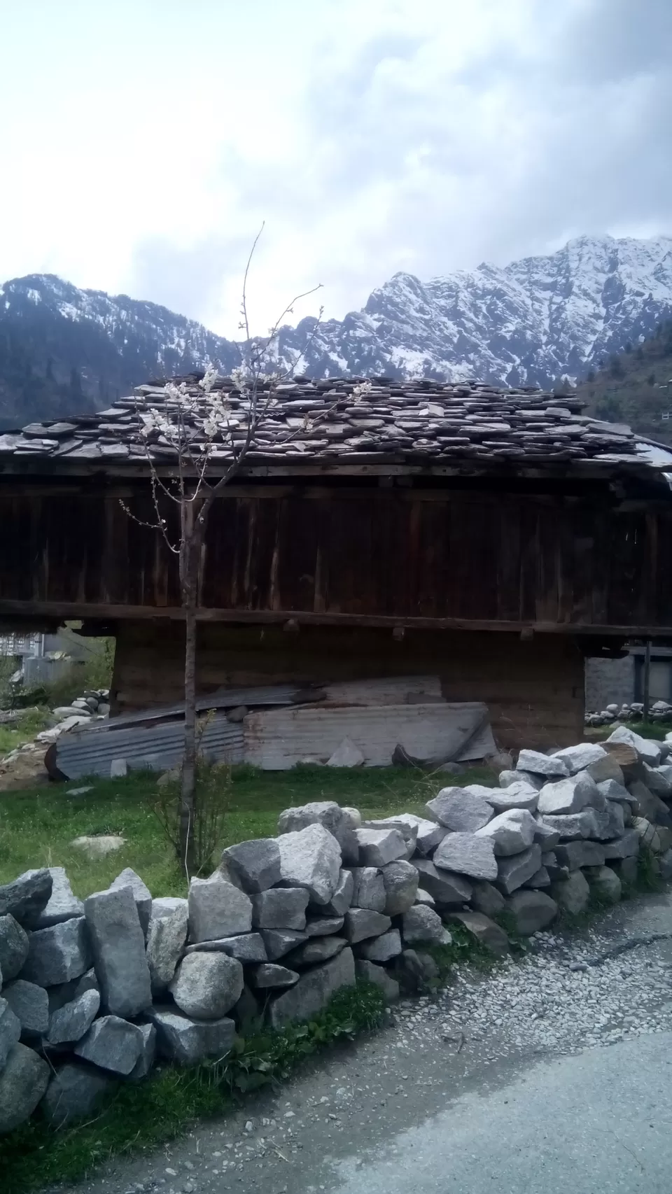 Photo of Burwa, Himachal Pradesh, India by Shazia Khanam