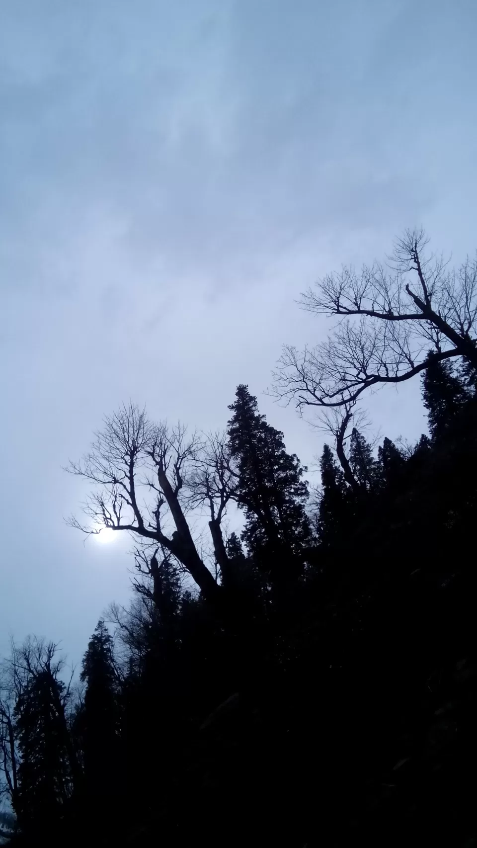 Photo of Dhundi, Himachal Pradesh, India by Shazia Khanam