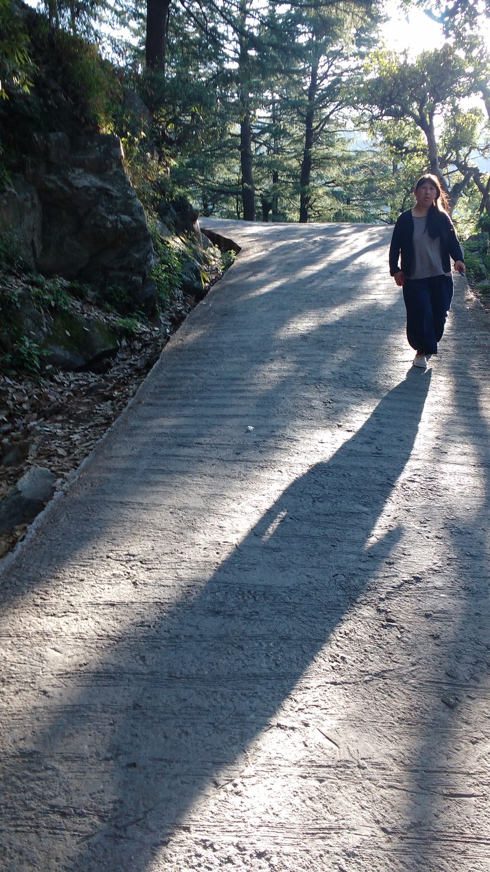 Photo of Delhi to McLeodganj - My First Solo Trip 2/10 by Naina Kataria