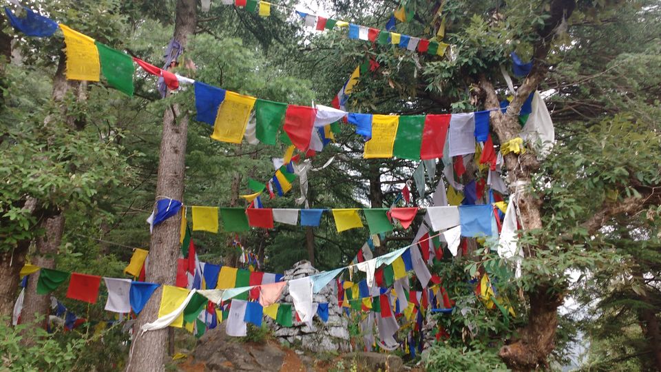 Photo of Delhi to McLeodganj - My First Solo Trip 5/10 by Naina Kataria