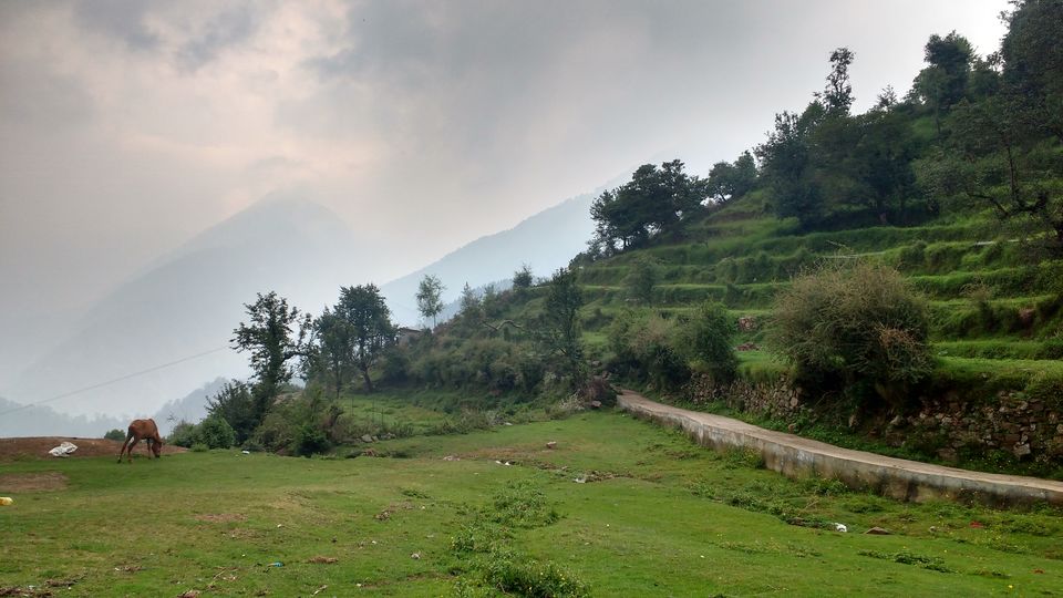 Photo of Delhi to McLeodganj - My First Solo Trip 6/10 by Naina Kataria