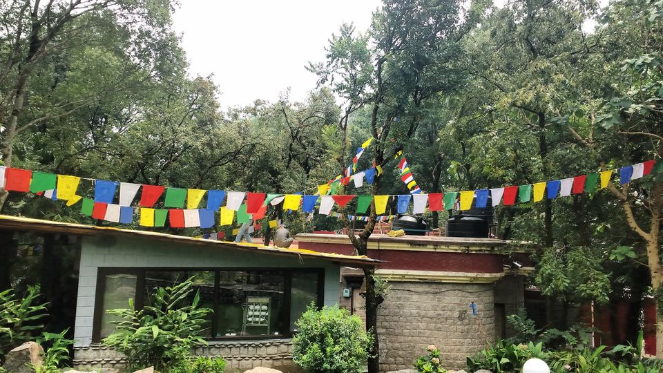 Photo of Delhi to McLeodganj - My First Solo Trip 8/10 by Naina Kataria