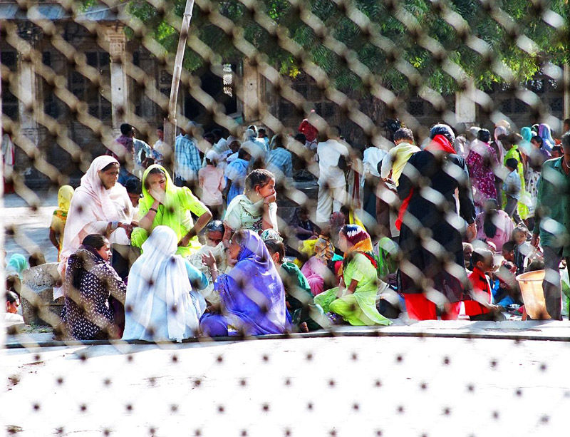 Photo of One Week Guide to Exploring Gujarat 6/7 by Naina Kataria