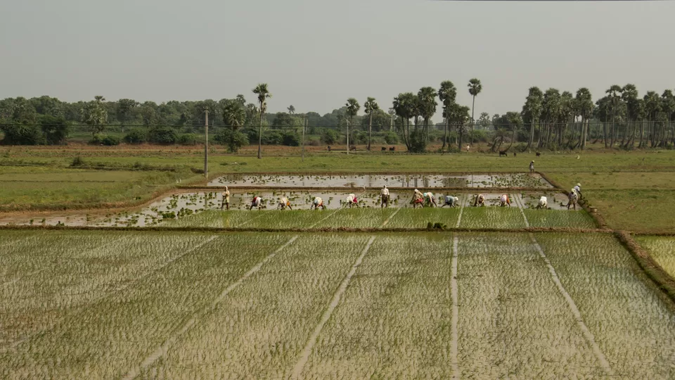 Photo of Nellore, Andhra Pradesh, India by Jithendra Swaroop