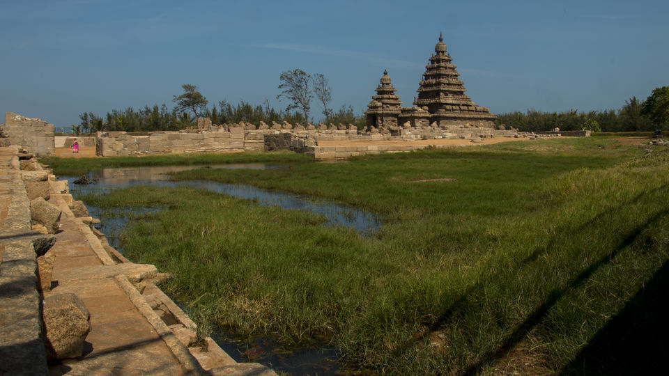 Photo of Chengalpattu, Tamil Nadu, India by Jithendra Swaroop