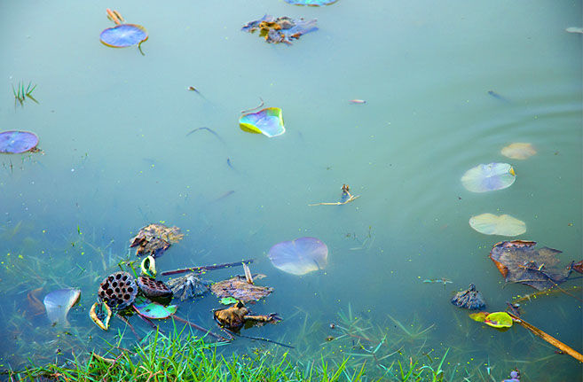 Photo of Visit Top 3 Marvelous Lakes of Ahmedabad 2/3 by Gujarat Four Wheel Drive