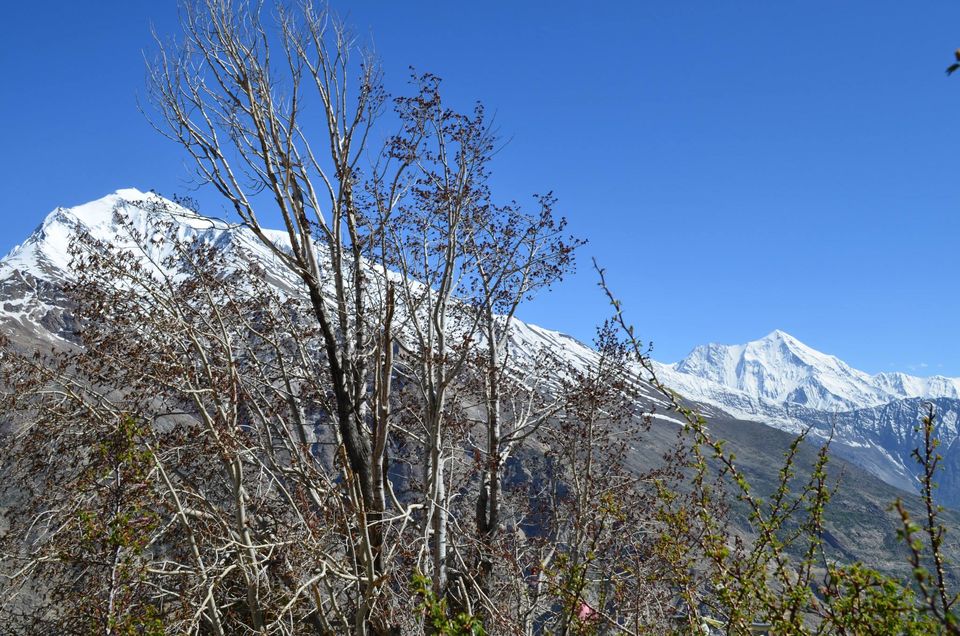 Photo of Captivating Kinnaur 12/22 by Sanmitra Mallick